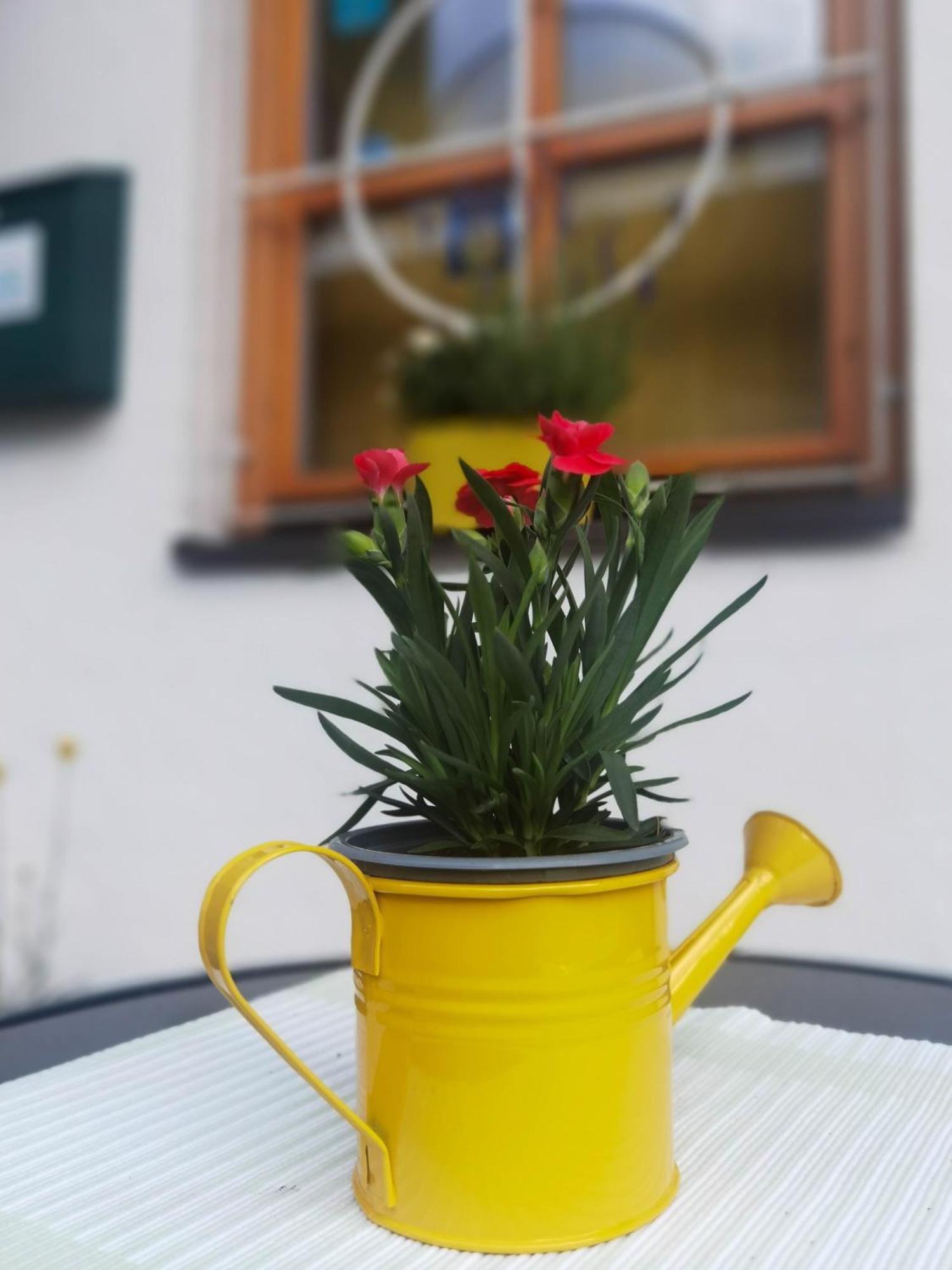 Hotel Landhaus Zell Am See Dış mekan fotoğraf